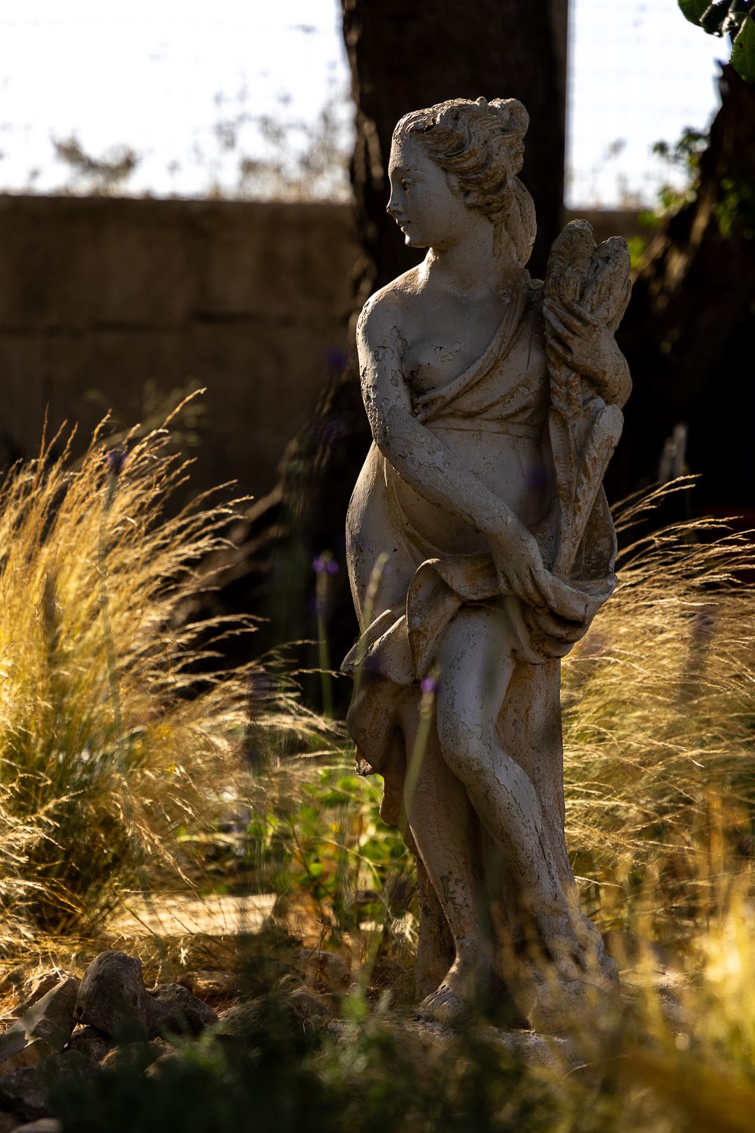 A weathered stone statue standing among tall wild grasses in the garden, backlit by low golden sun