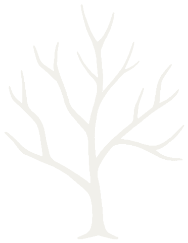 Five Seasons